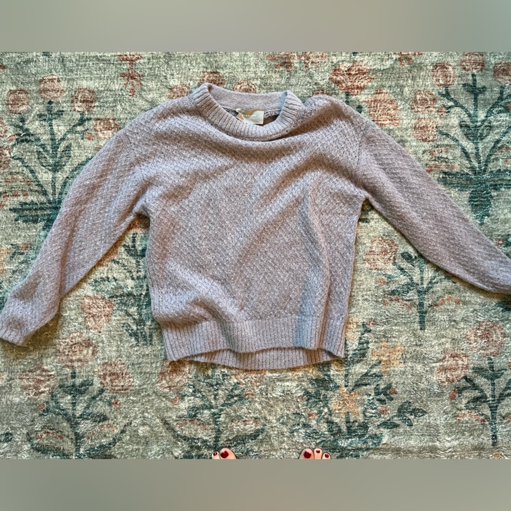 NWOT Everlane XS Lavendar sweater